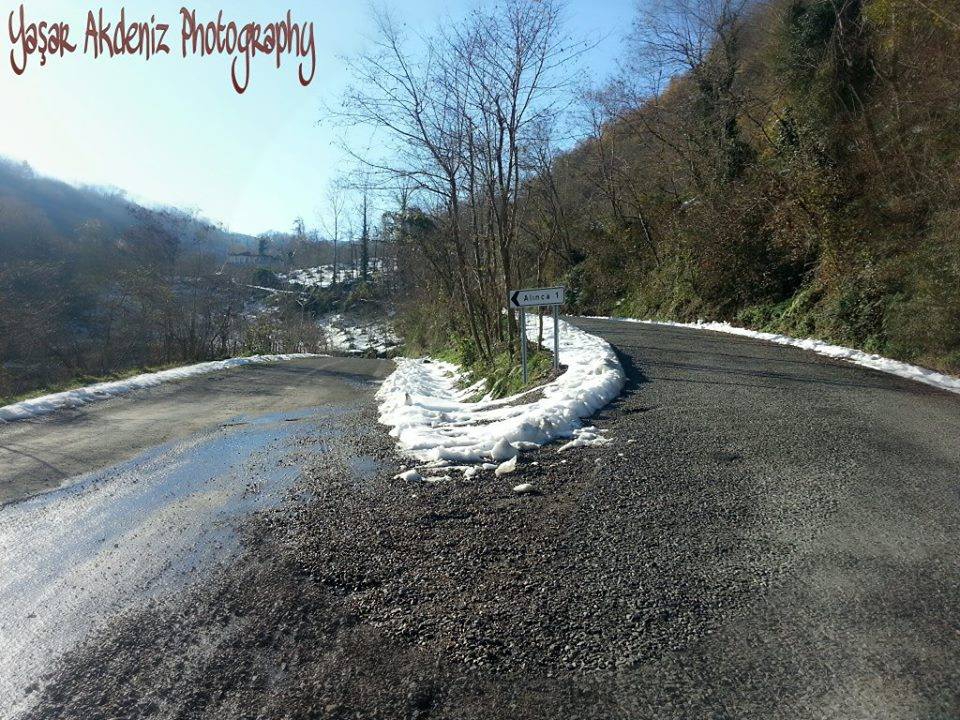 Perşembe Alınca Köyü  Resimleri 3
