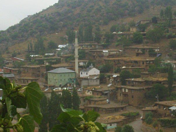 Hadim Yalınçevre Köyü Resimleri 3