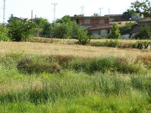 Keşan Mahmutköy Resimleri 2