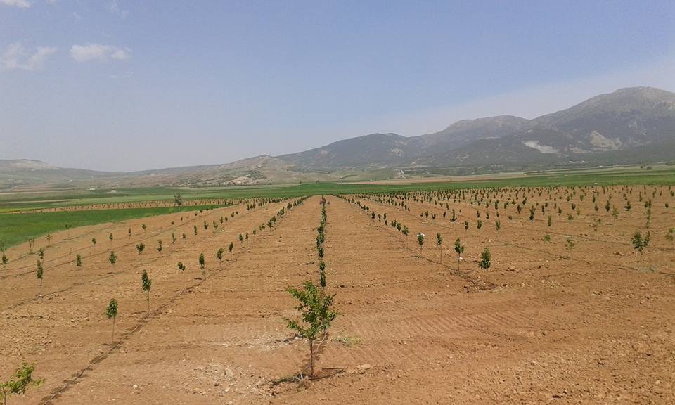 Halkapınar Seydifakılı Köyü Resimleri 5
