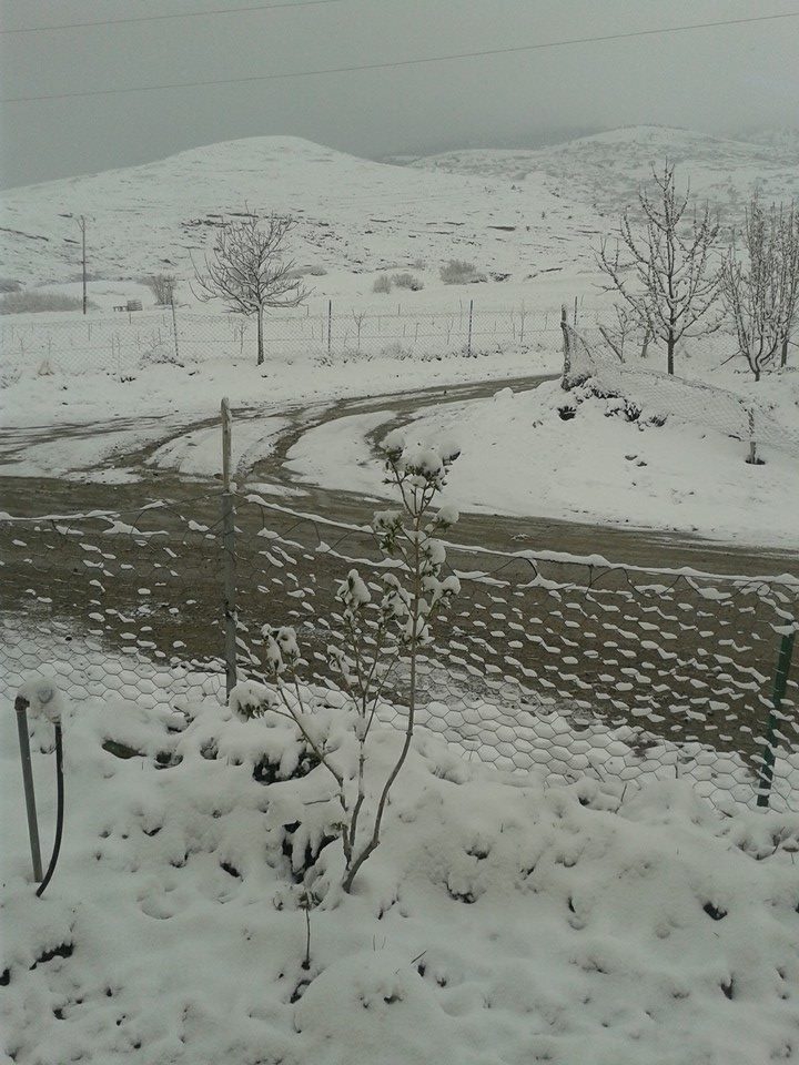 Halkapınar Seydifakılı Köyü Resimleri 6