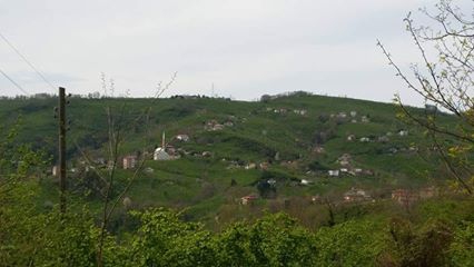 Perşembe Bekirli Köyü Resimleri 2