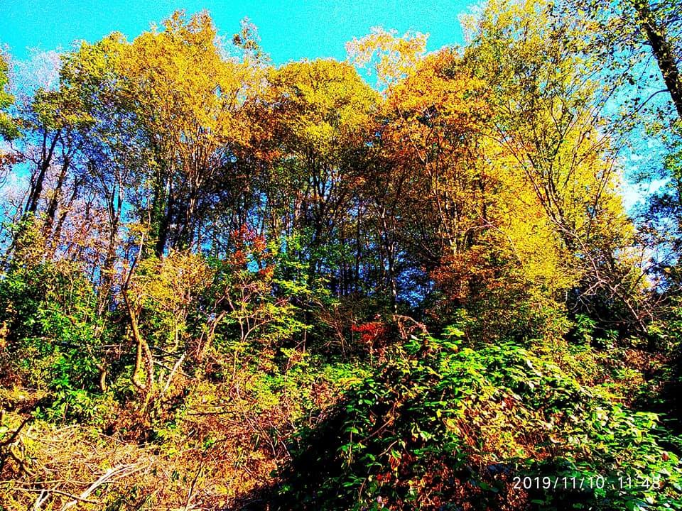 Perşembe Hacılar Köyü Resimleri 10