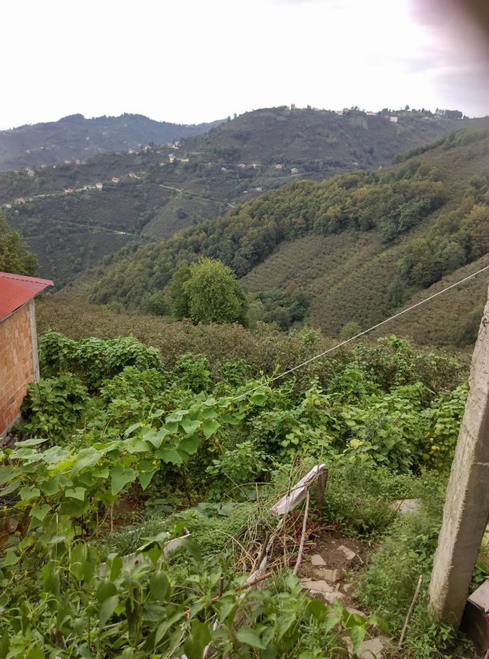 Perşembe Hacılar Köyü Resimleri 2