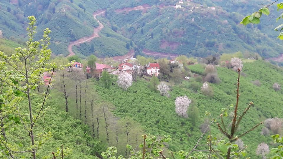 Perşembe Hacılar Köyü Resimleri 3