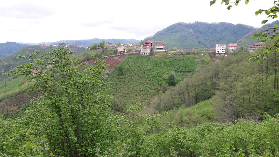 Perşembe Hacılar Köyü Resimleri 4