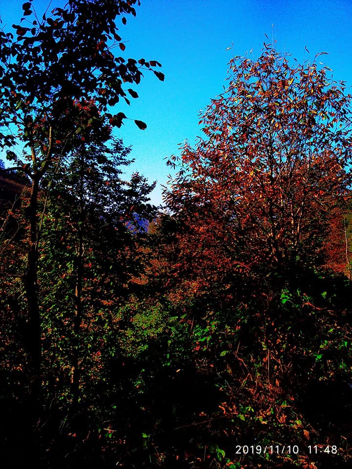 Perşembe Hacılar Köyü Resimleri 7