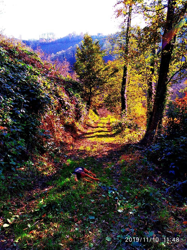 Perşembe Hacılar Köyü Resimleri 8