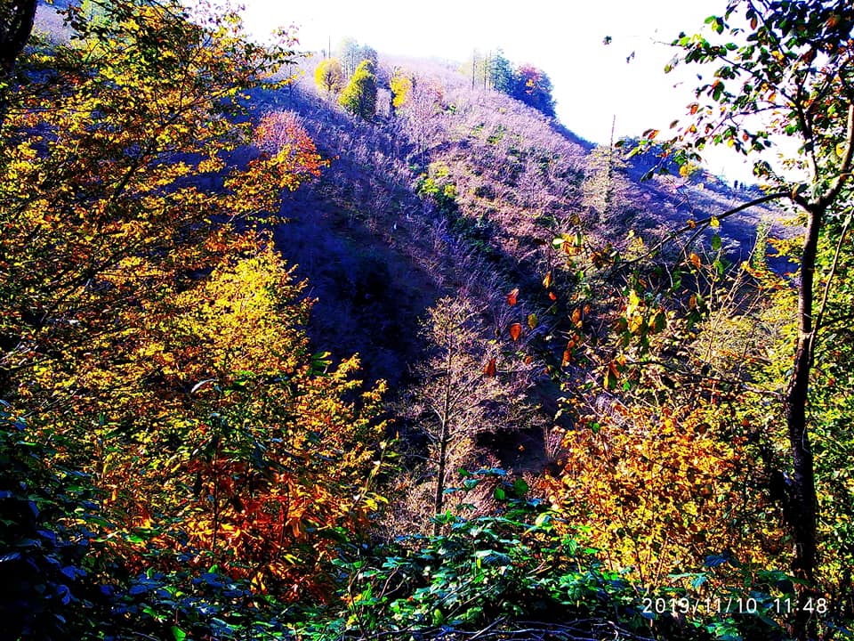 Perşembe Hacılar Köyü Resimleri 9