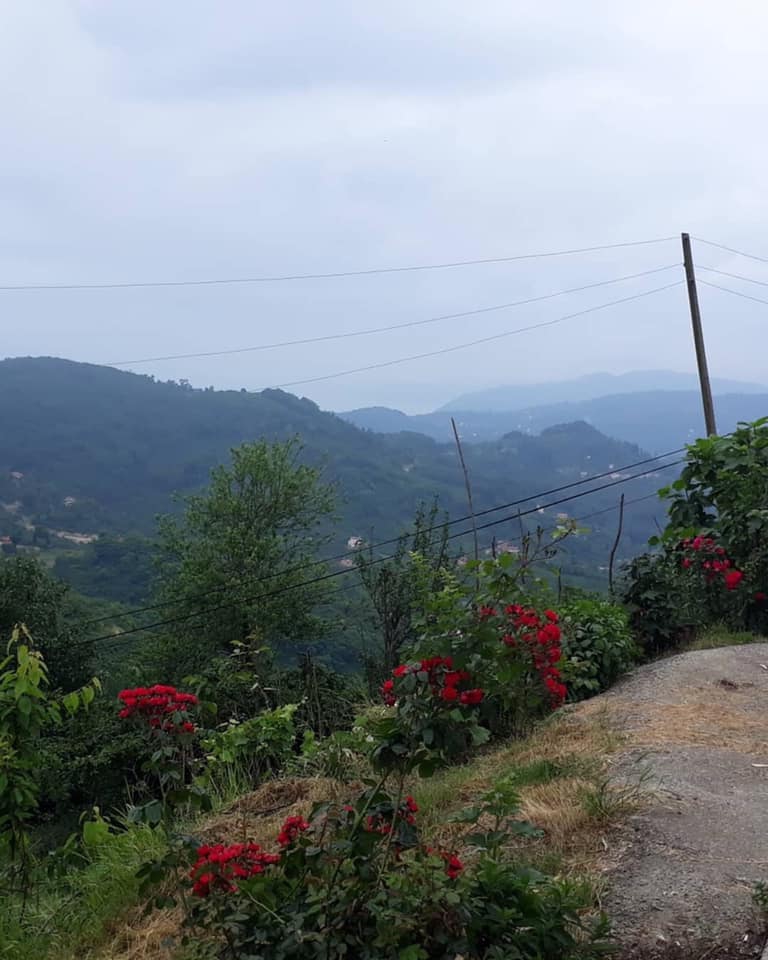 Perşembe İstanbulboğazı Köyü Resimleri 11