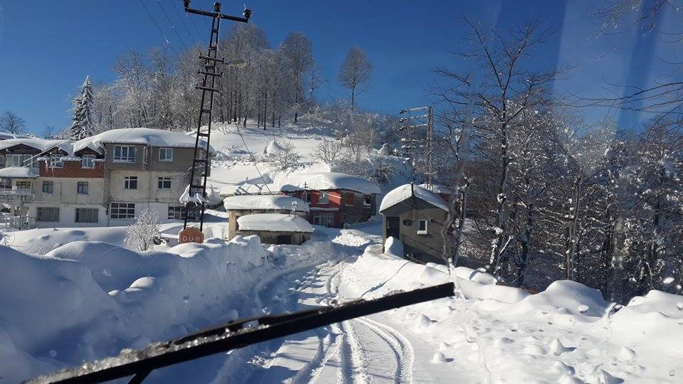 Perşembe İstanbulboğazı Köyü Resimleri 5