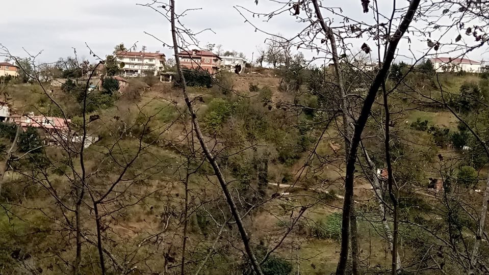 Perşembe Kazancılı Köyü Resimleri 3