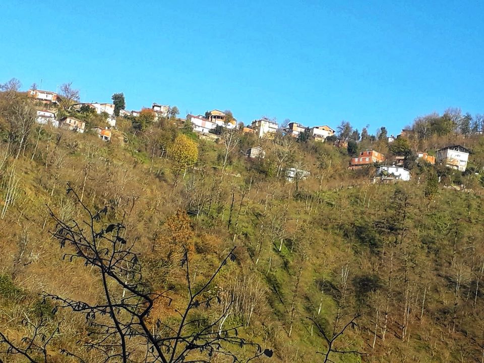 Perşembe Kazancılı Köyü Resimleri 9