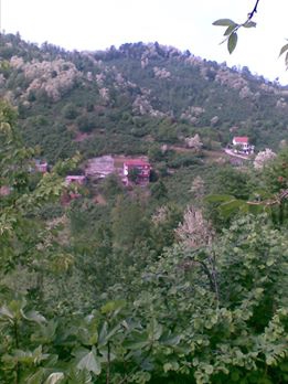 Perşembe Kovanlı Köyü Resimleri 3