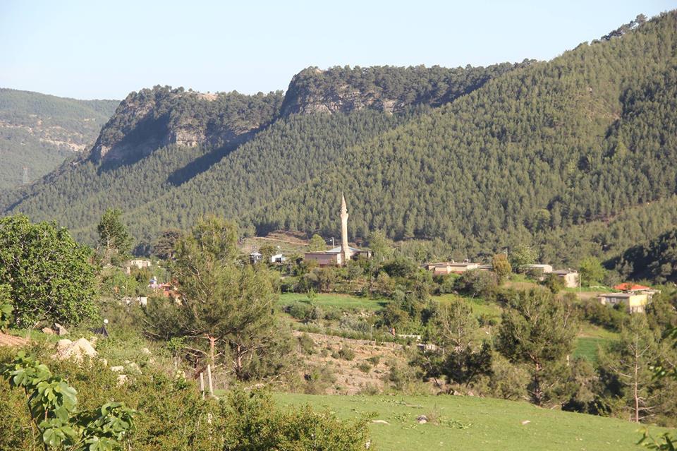 Adana Karaisalı Çukur Köyü Resimleri 4