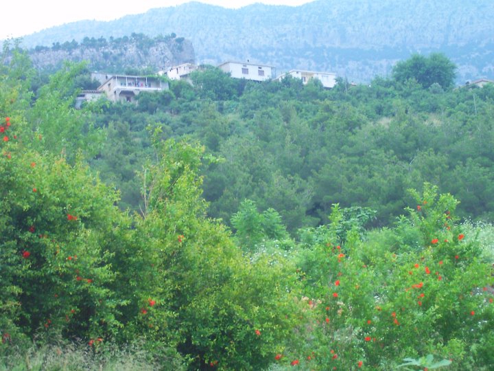 Adana Karaisalı Çukur Köyü Resimleri 7