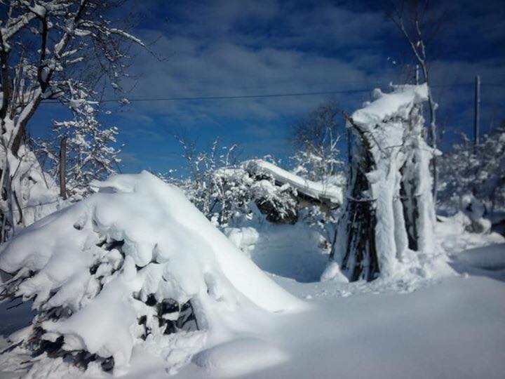 Perşembe Soğukpınar Köyü Resimleri 7