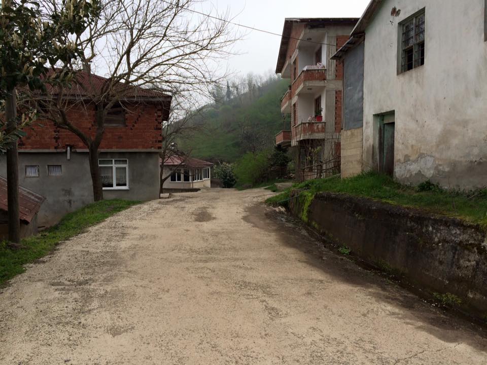 Perşembe Tepecik Köyü Resimleri 9