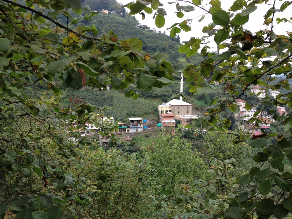 Perşembe Tepeköy Köyü Resimleri 6