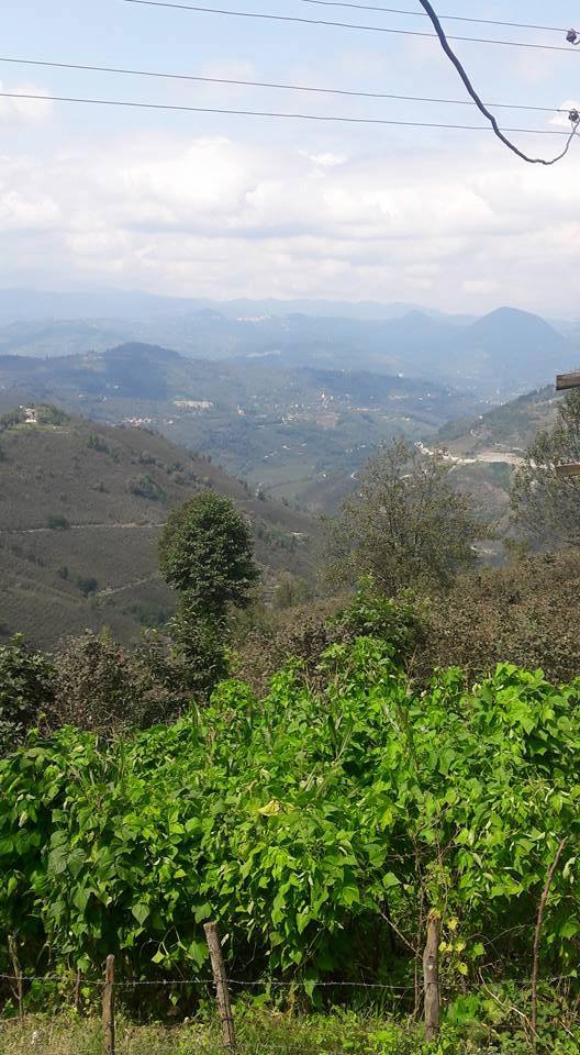 Ulubey Belenyurt Köyü Resimleri 1