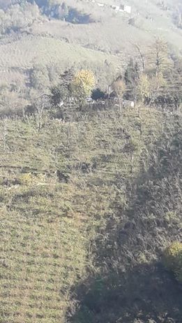 Ulubey Belenyurt Köyü Resimleri 7