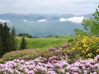 Ulubey Çağlayan Köyü Resimleri 8