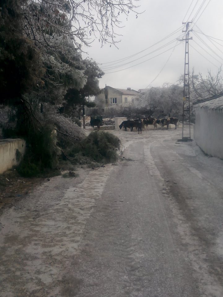 Keşan Suluca Köyü Resimleri 9