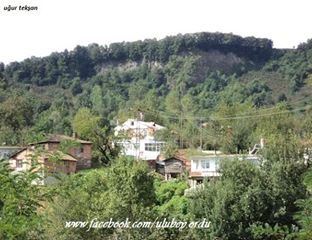 Ulubey Yenisayaca Köyü Resimleri 1