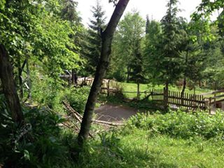 Ulubey Yenisayaca Köyü Resimleri 4