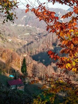 Ulubey Yenisayaca Köyü Resimleri 7