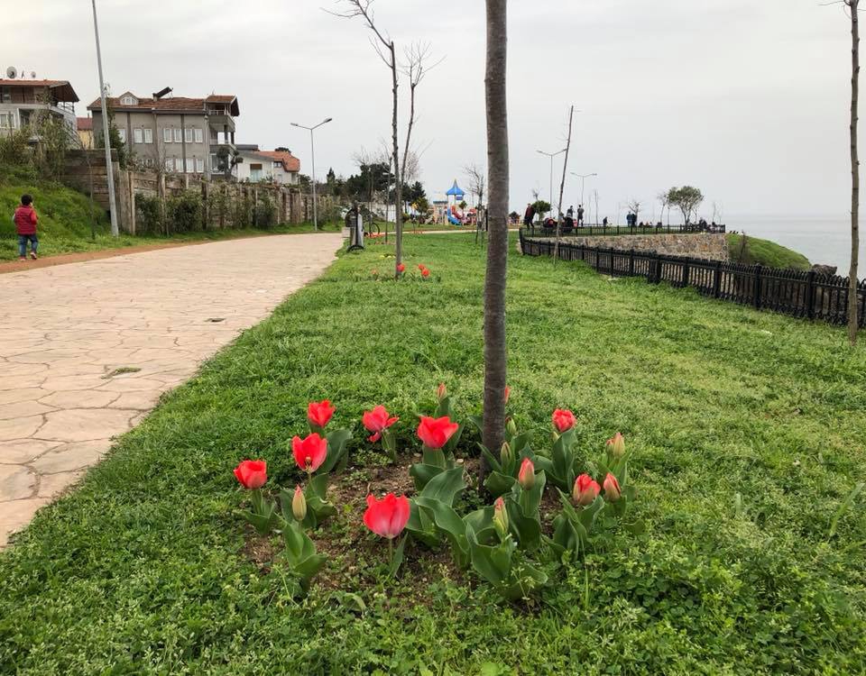 Ünye Atatürk Köyü Resimleri 2