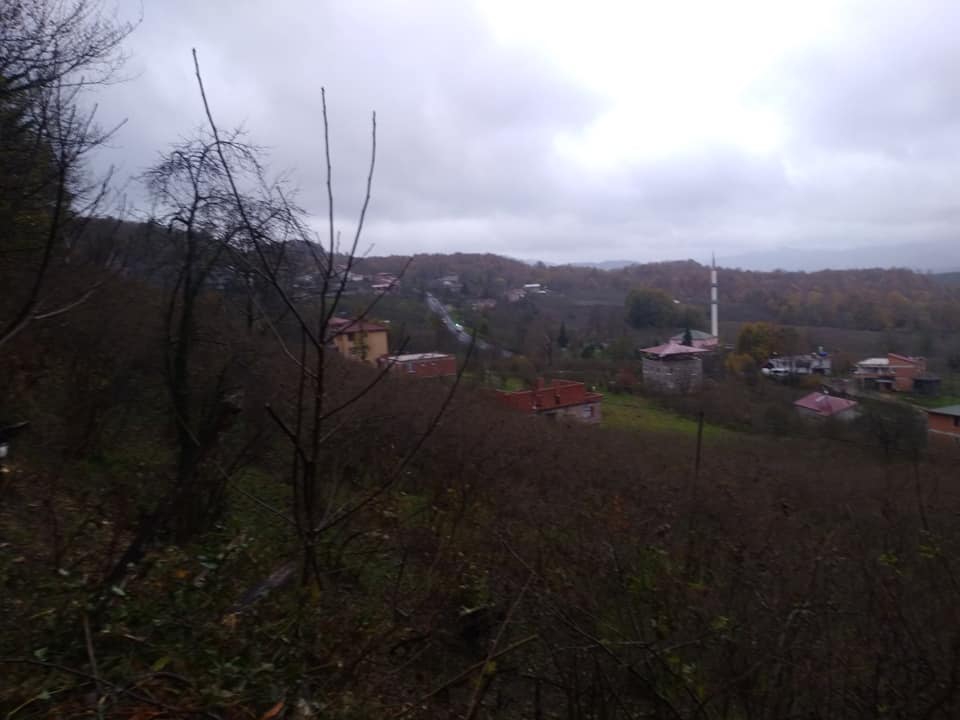 Ünye Çatak Köyü Resimleri 10