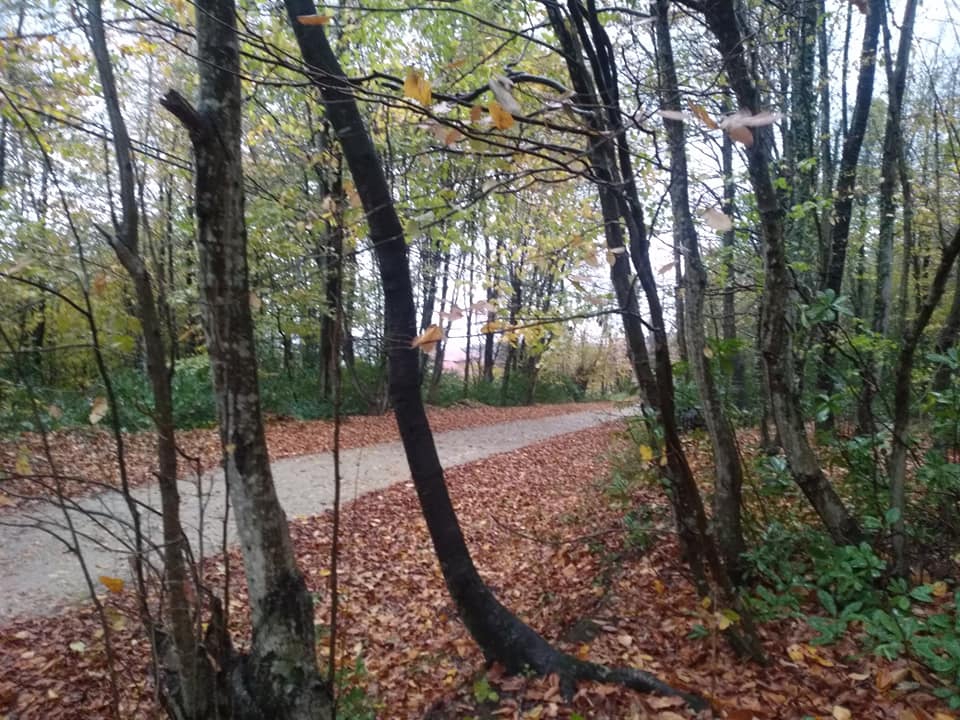 Ünye Çatak Köyü Resimleri 2