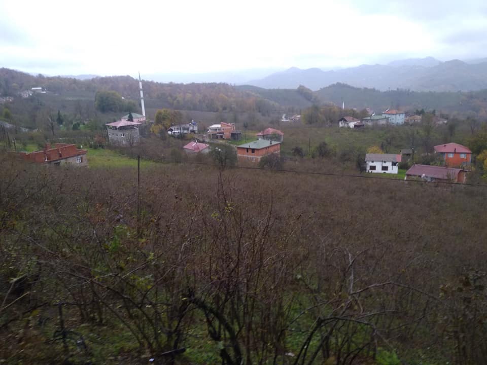 Ünye Çatak Köyü Resimleri 5