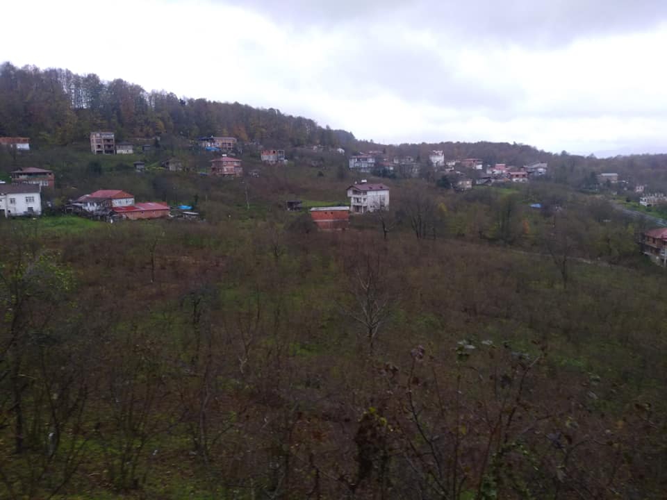 Ünye Çatak Köyü Resimleri 6