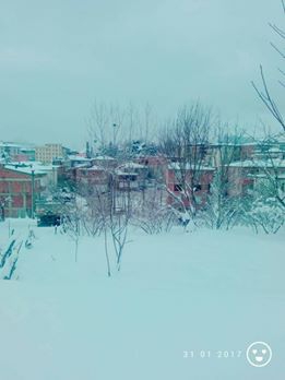 Ünye Çınarlık Köyü Resimleri 1