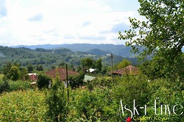 Ünye Çiğdem Köyü Resimleri 3