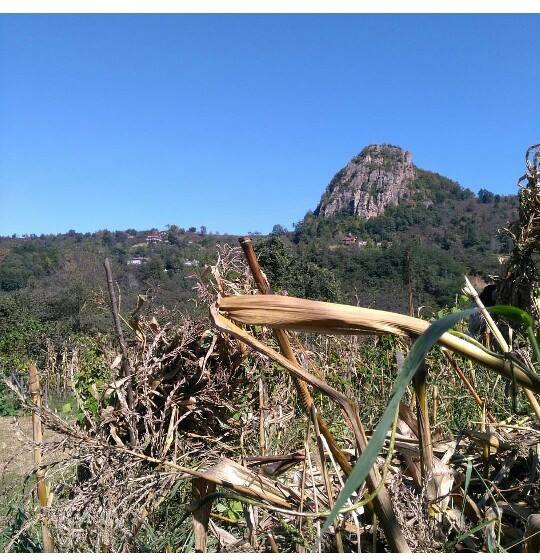 Ünye Çiğdem Köyü Resimleri 5