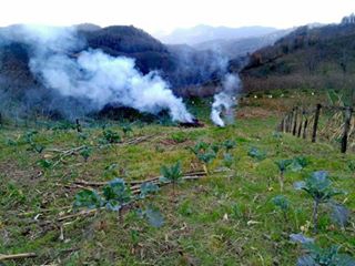 Ünye Çiğdem Köyü Resimleri 6