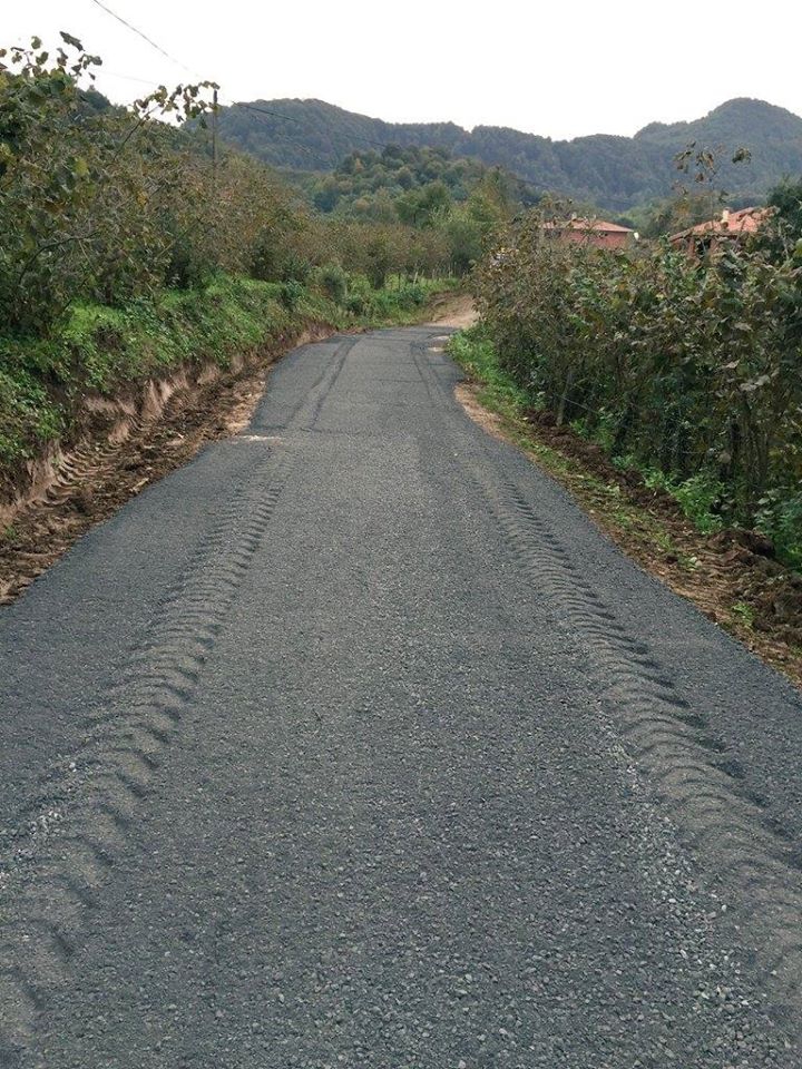 Ünye Dizdar Köyü Resimleri 1