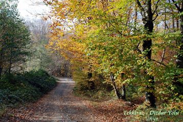 Ünye Dizdar Köyü Resimleri 3