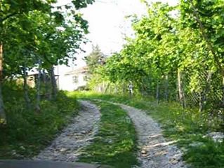 Ünye Döşemedibi Köyü Resimleri 2