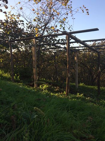 Ünye Döşemedibi Köyü Resimleri 3