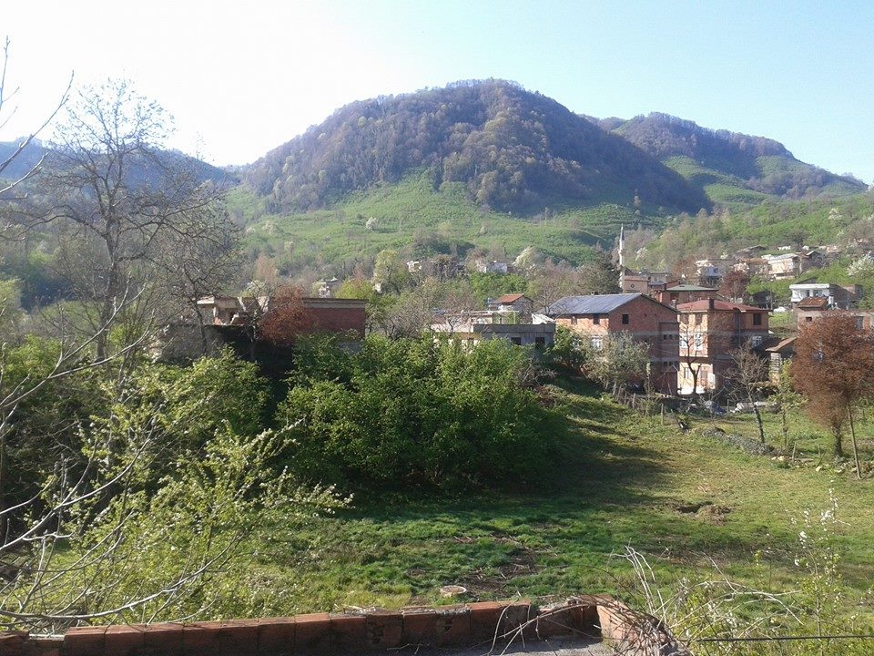 Ünye Düzköy Köyü Resimleri 1