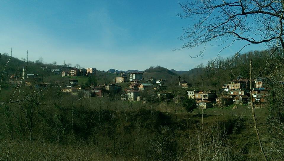 Ünye Düzköy Köyü Resimleri 3