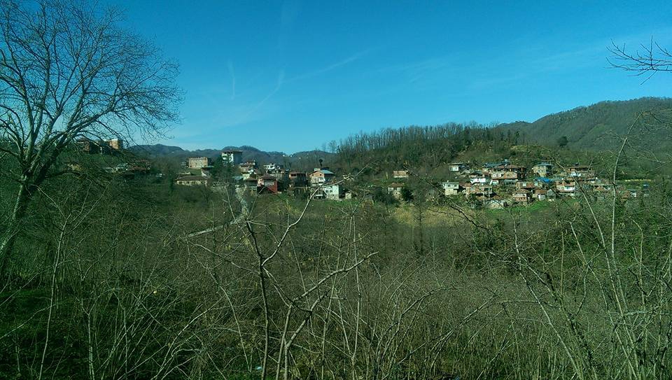 Ünye Düzköy Köyü Resimleri 4