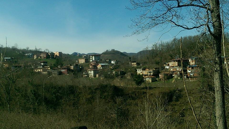 Ünye Düzköy Köyü Resimleri 5