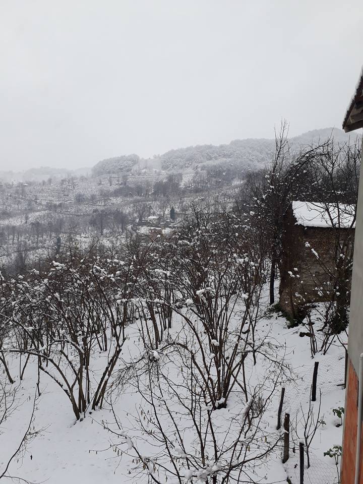 Ünye Düzköy Köyü Resimleri 8