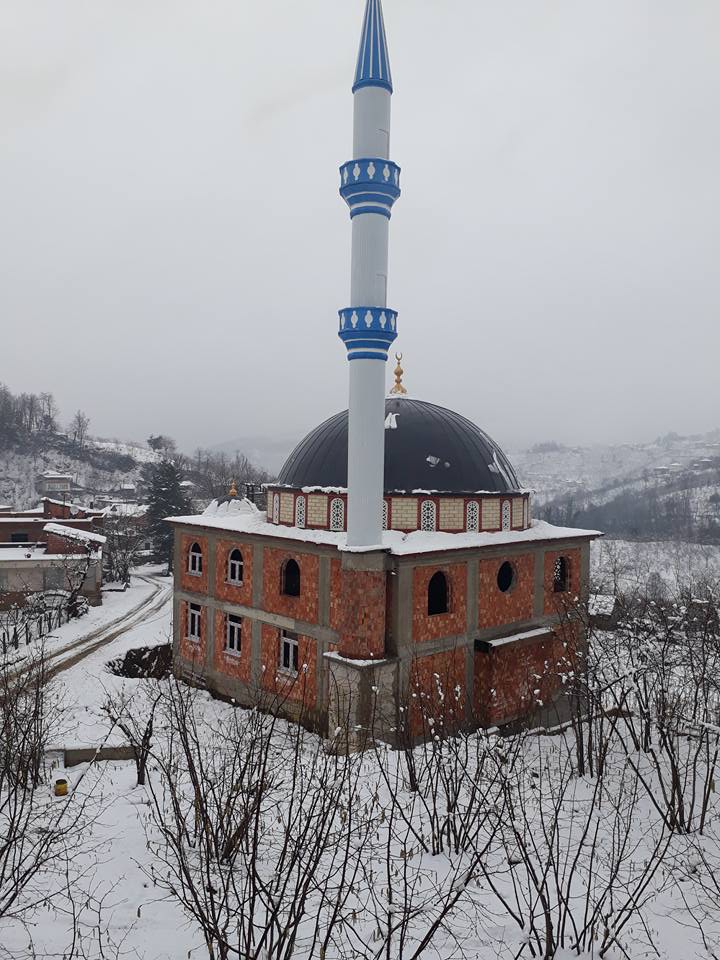 Ünye Düzköy Köyü Resimleri 9