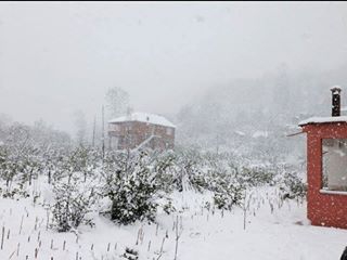 Ünye Esenkale Köyü Resimleri 1